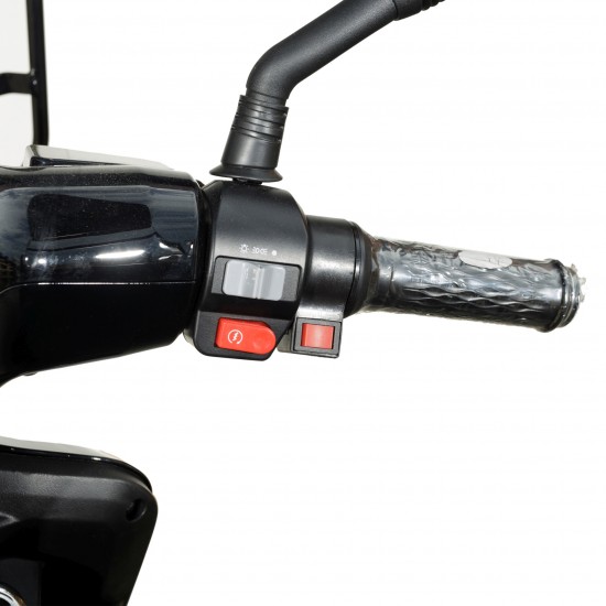 Vehicul Electric cu 4 Roti, Motor 1000W, Baterie 20 Ah, Negru 11