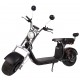Trotineta Electrica SB50 Extended Range Trotineta Electrica SB50 Extended Range