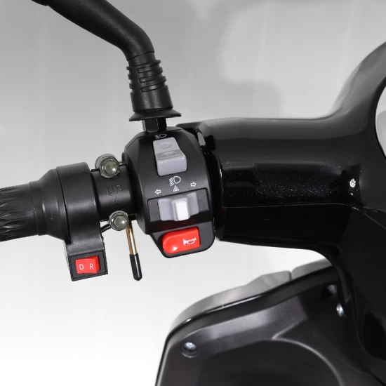Vehicul Electric cu 4 Roti, Motor 1000W, Baterie 20 Ah, Negru 8