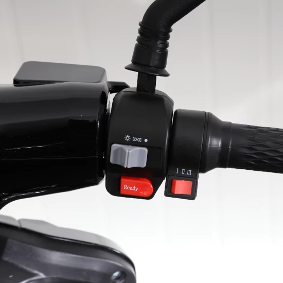 Vehicul Electric cu 4 Roti, Motor 1000W, Baterie 20 Ah, Negru 9