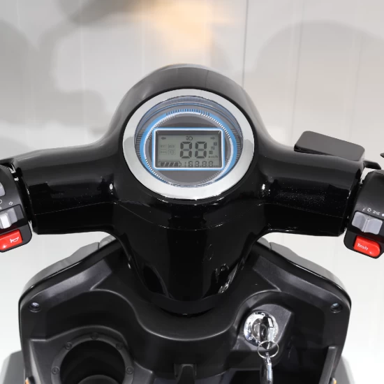Vehicul Electric cu 4 Roti, Motor 1000W, Baterie 20 Ah, Negru 10