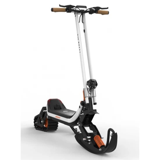 Trotineta Electrica pentru Adulti, Urban X PRO, Kituri Zapada si Offroad Incluse, Motor 1500W, Smart Balance 10
