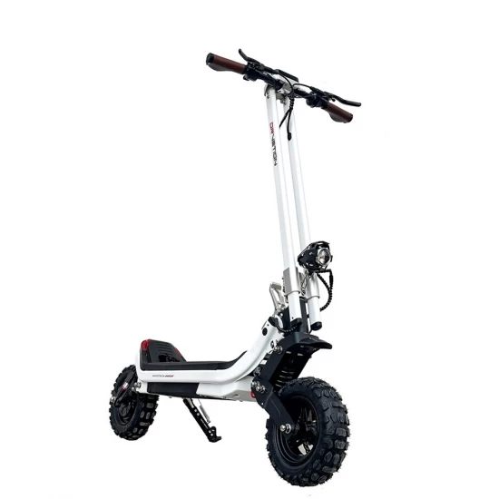 Trotineta Electrica pentru Adulti, Urban X PRO, Kituri Zapada si Offroad Incluse, Motor 1500W, Smart Balance 13